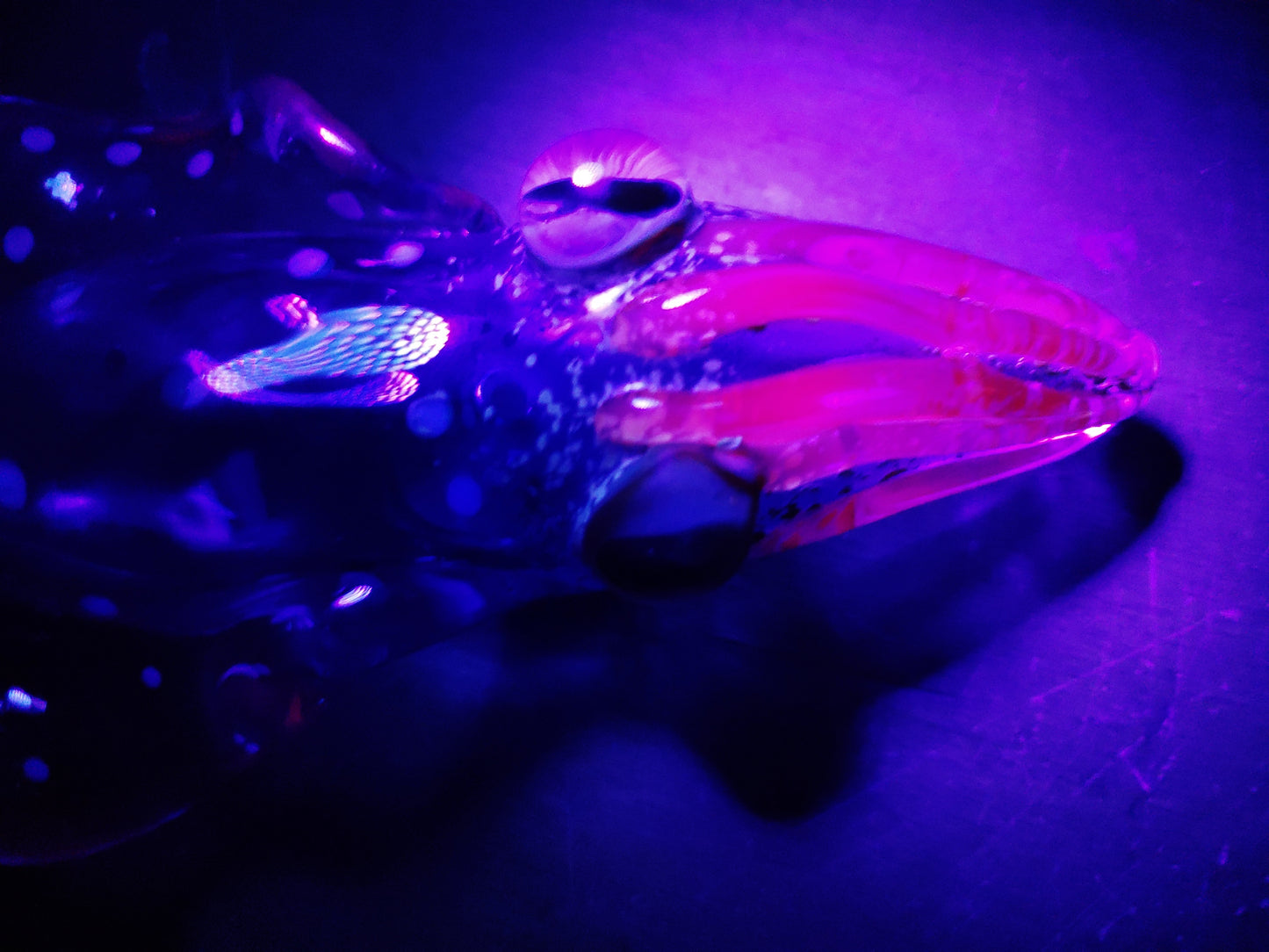 Glass Cuttlefish Pipe (UV Glow)