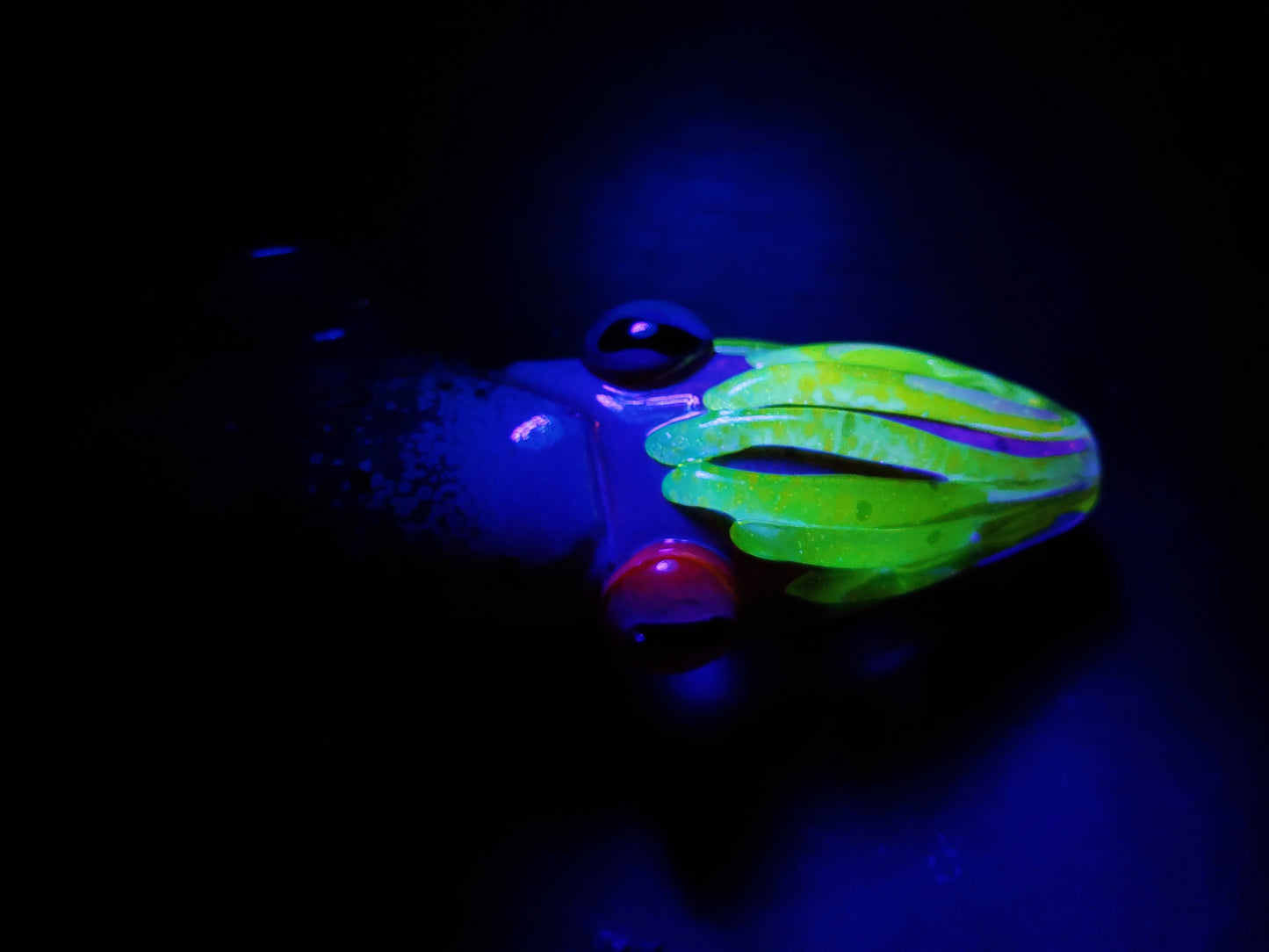 Glass Cuttlefish Pipe (UV Glow)