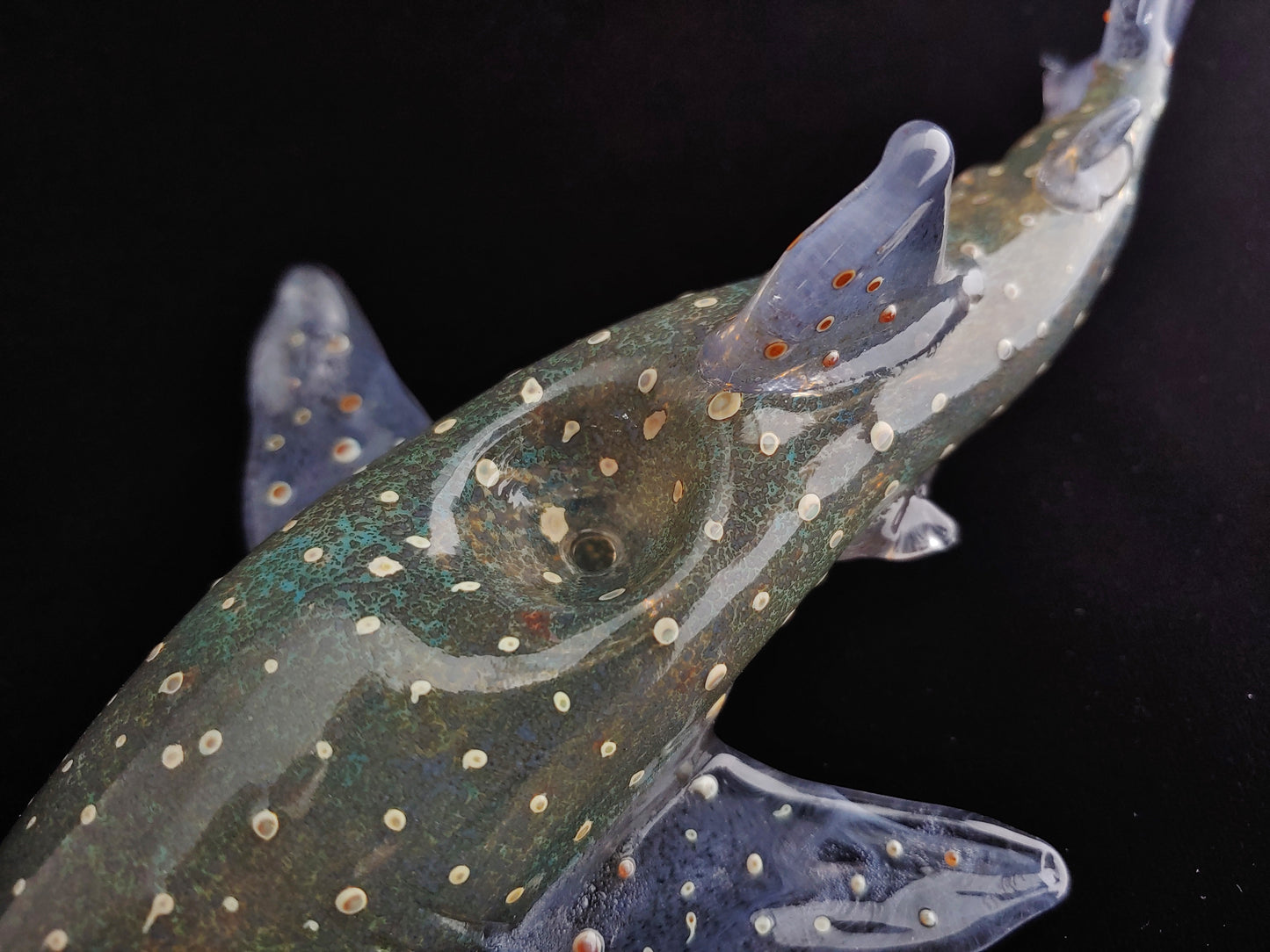 Glass Whale Shark Pipe