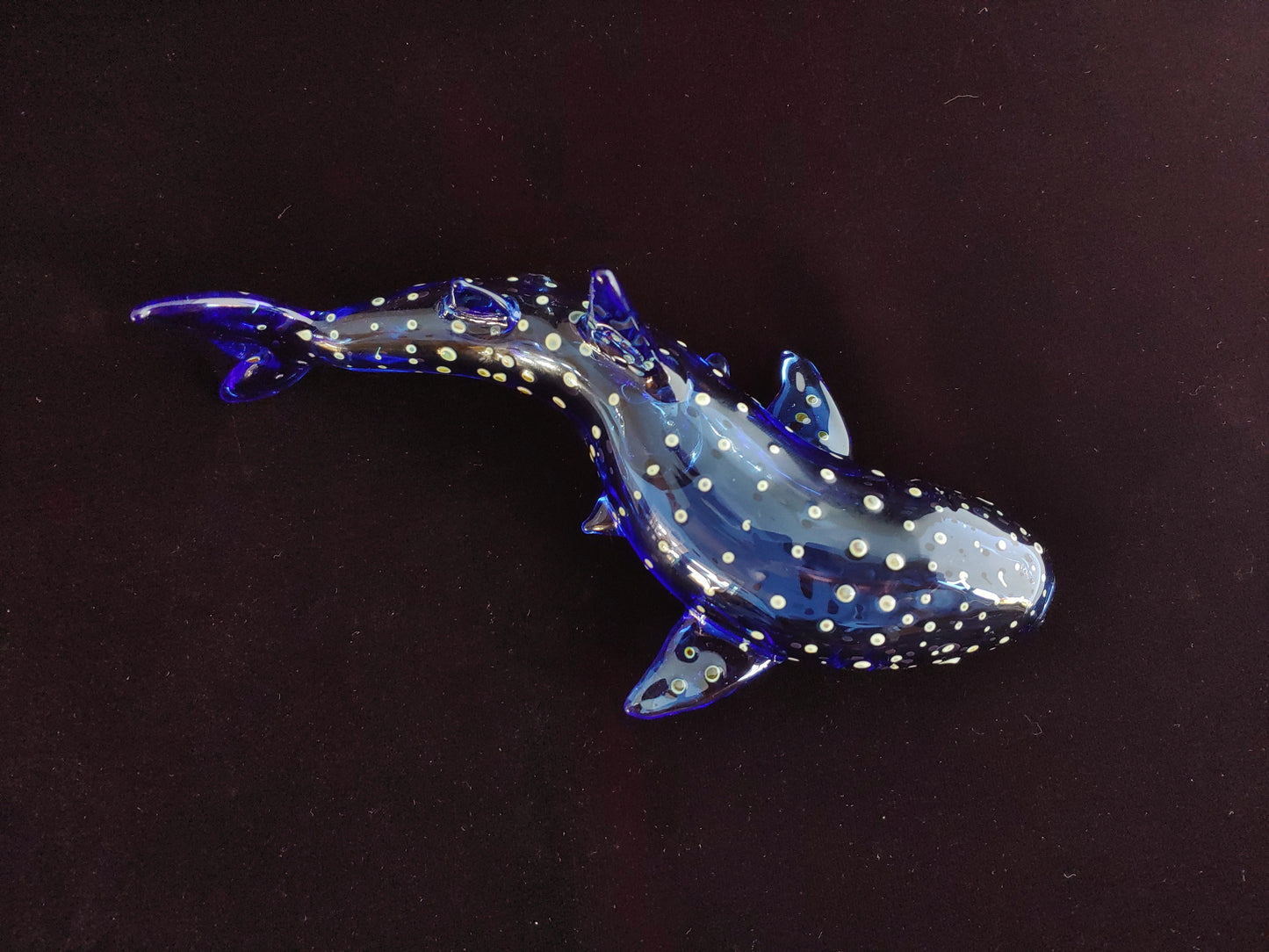 Glass Whale Shark Pipe | Cobalt Blue