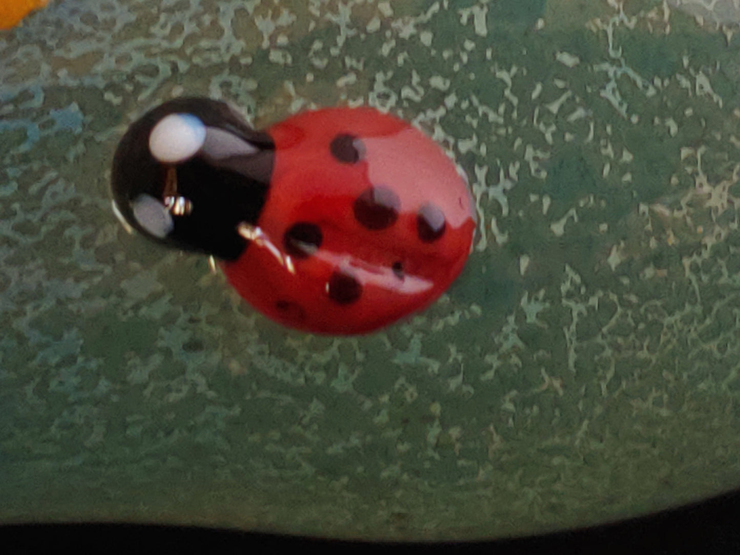 Glass Daisy & Ladybugs Pipe