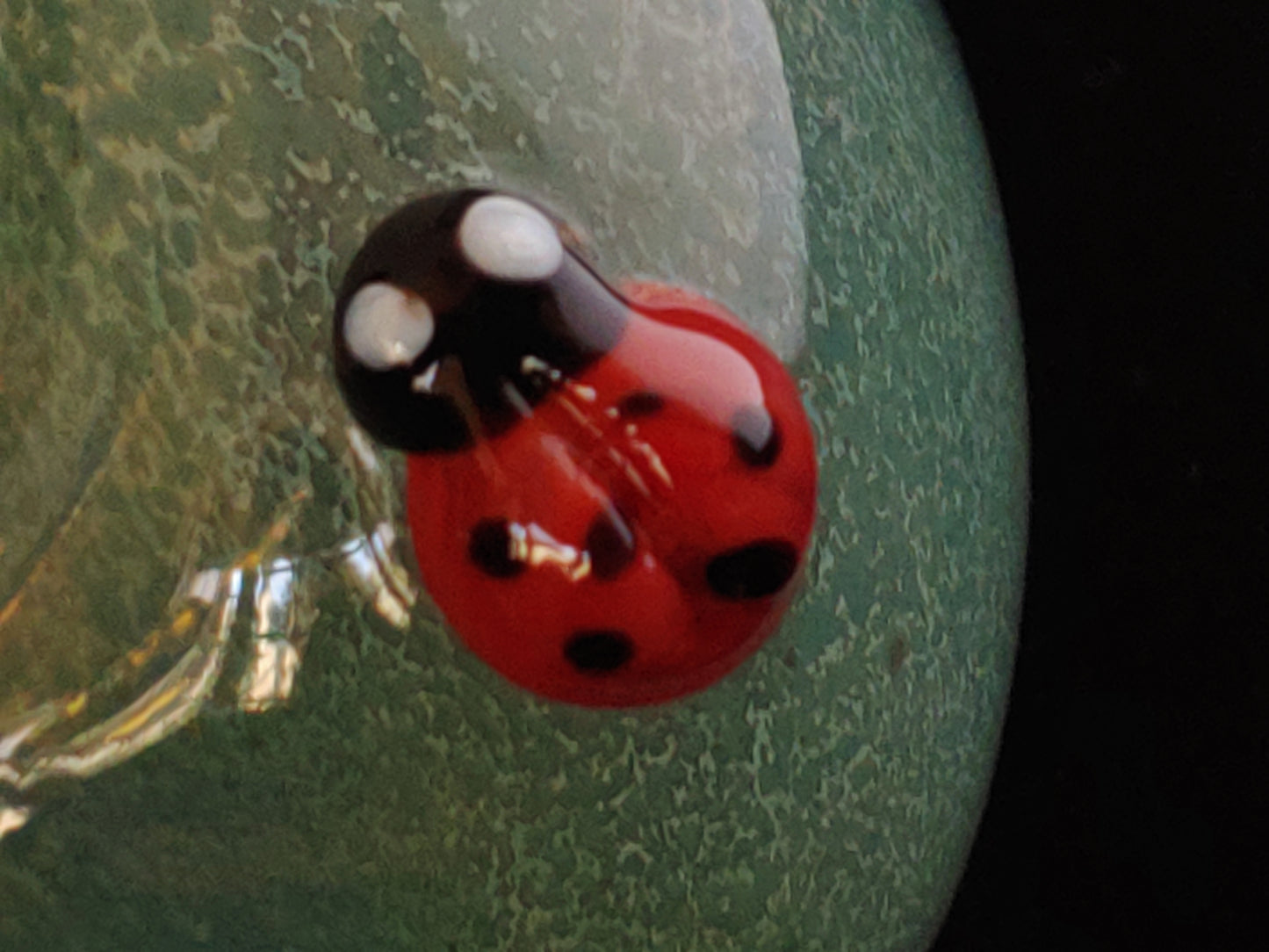 Glass Daisy & Ladybugs Pipe