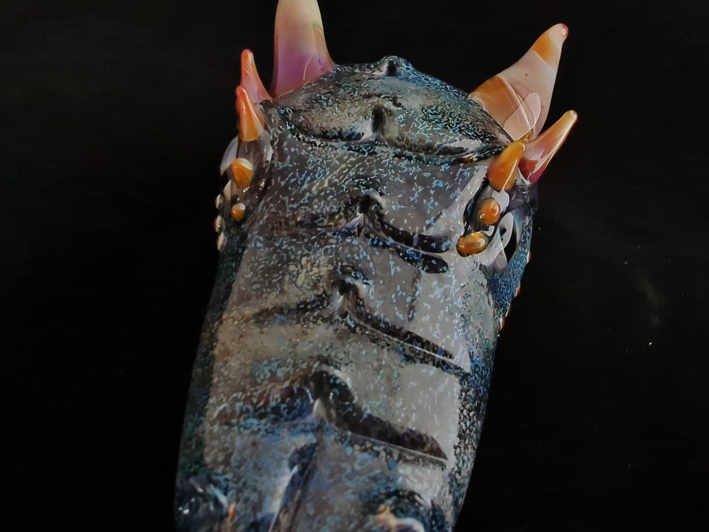 Glass Dragon Head Pipe (Black)